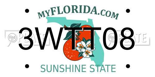 3WTT08 Florida License Plate
