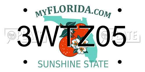 3WTZ05 Florida License Plate