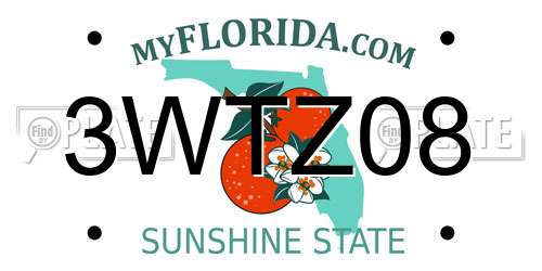 3WTZ08 Florida License Plate