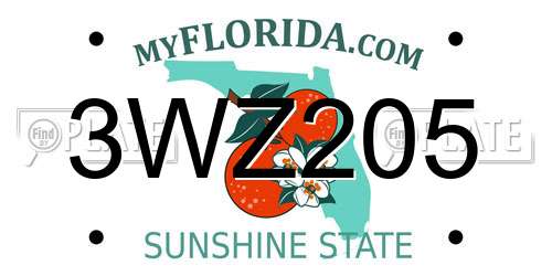 3WZ205 Florida License Plate