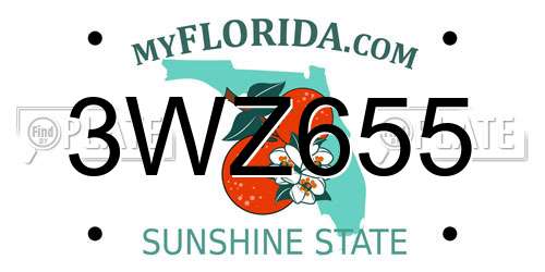 3WZ655 Florida License Plate