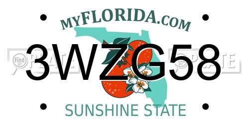 3WZG58 Florida License Plate