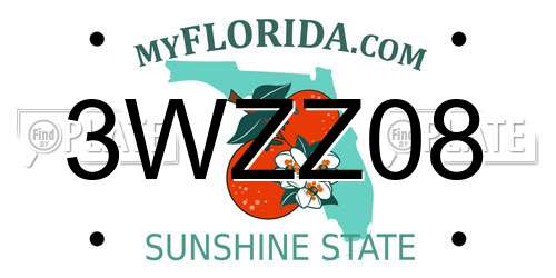 3WZZ08 Florida License Plate