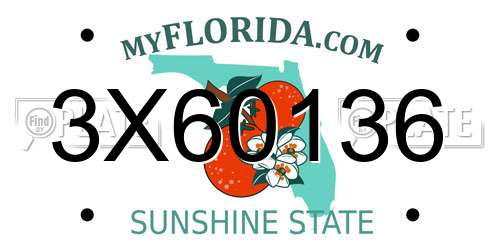3X60136 Florida License Plate