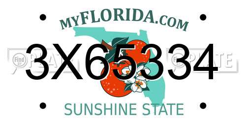 3X65334 Florida License Plate