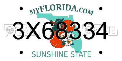 3X68334 Florida License Plate