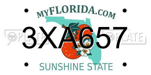 3XA657 Florida License Plate