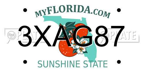 3XAG87 Florida License Plate
