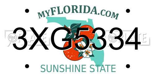 3XG5334 Florida License Plate