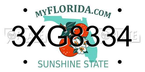 3XG8334 Florida License Plate
