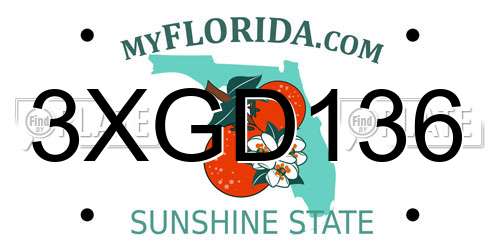 3XGD136 Florida License Plate