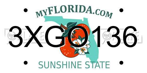 3XGO136 Florida License Plate