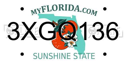 3XGQ136 Florida License Plate