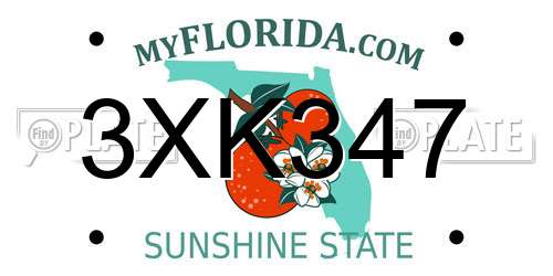 3XK347 Florida License Plate