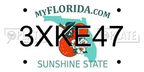 3XKE47 Florida License Plate