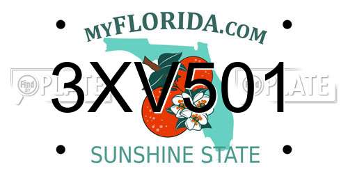 3XV501 Florida License Plate