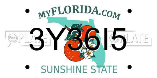 3Y36I5 Florida License Plate