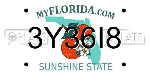 3Y36I8 Florida License Plate