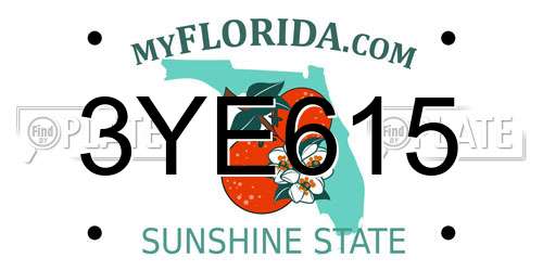 3YE615 Florida License Plate