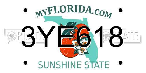 3YE618 Florida License Plate