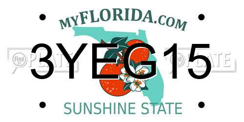 3YEG15 Florida License Plate