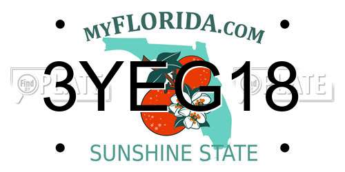 3YEG18 Florida License Plate