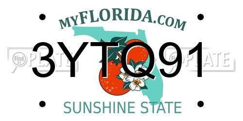 3YTQ91 Florida License Plate