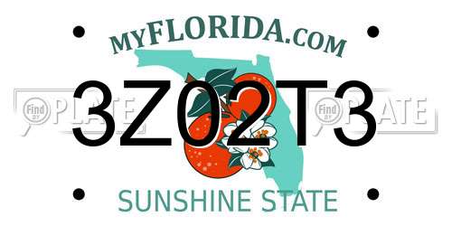3Z02T3 Florida License Plate
