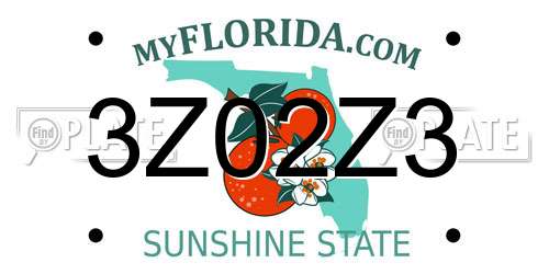 3Z02Z3 Florida License Plate