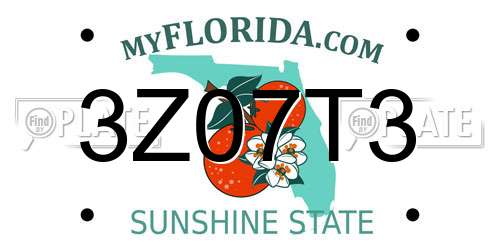3Z07T3 Florida License Plate