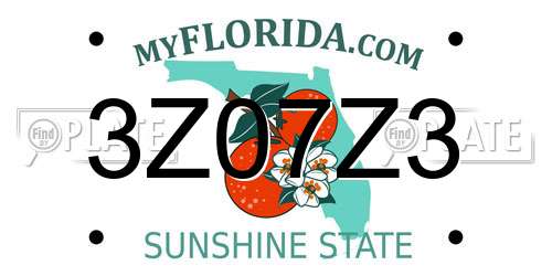 3Z07Z3 Florida License Plate