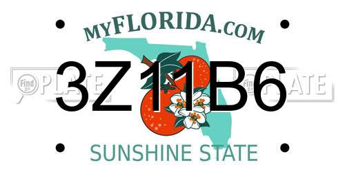 3Z11B6 Florida License Plate