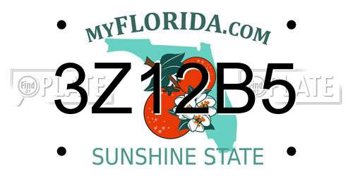 3Z12B5 Florida License Plate