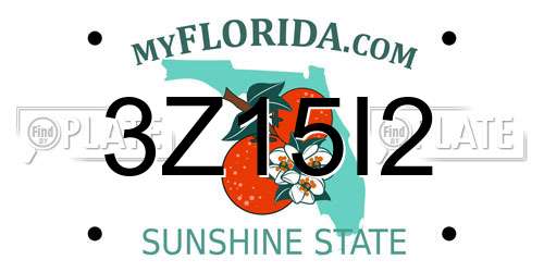 3Z15I2 Florida License Plate