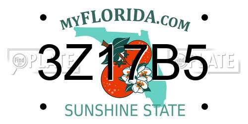 3Z17B5 Florida License Plate