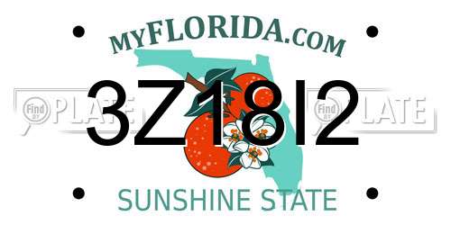 3Z18I2 Florida License Plate