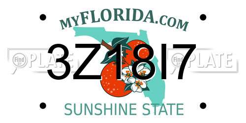 3Z18I7 Florida License Plate