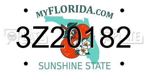 3Z20182 Florida License Plate