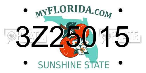 3Z25015 Florida License Plate