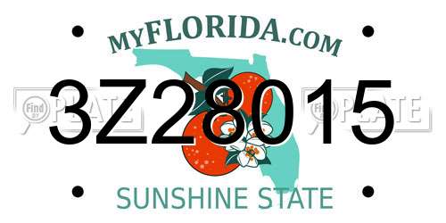 3Z28015 Florida License Plate