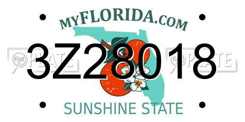3Z28018 Florida License Plate
