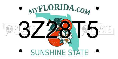 3Z28T5 Florida License Plate