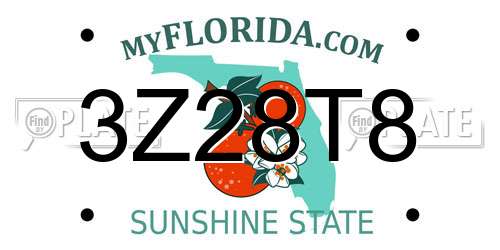 3Z28T8 Florida License Plate