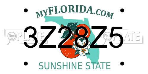 3Z28Z5 Florida License Plate