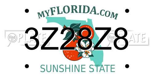 3Z28Z8 Florida License Plate