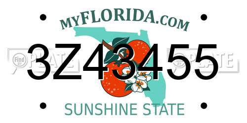 3Z43455 Florida License Plate