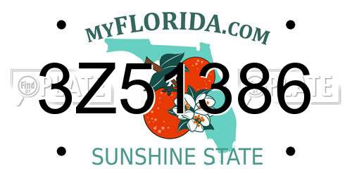 3Z51386 Florida License Plate