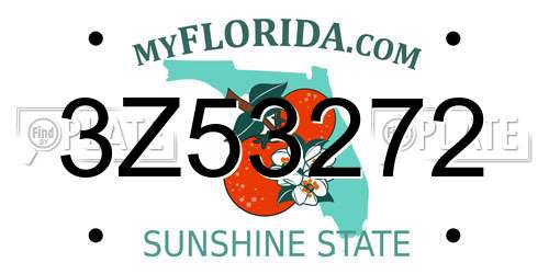 3Z53272 Florida License Plate