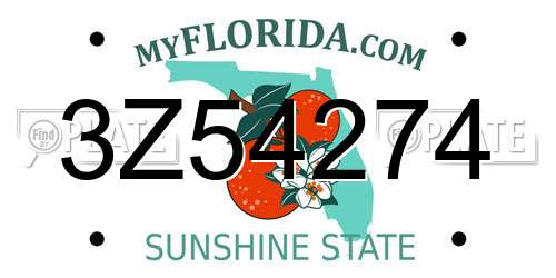 3Z54274 Florida License Plate