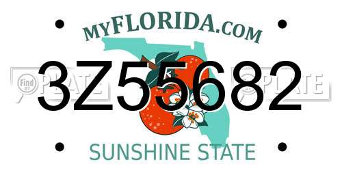 3Z55682 Florida License Plate